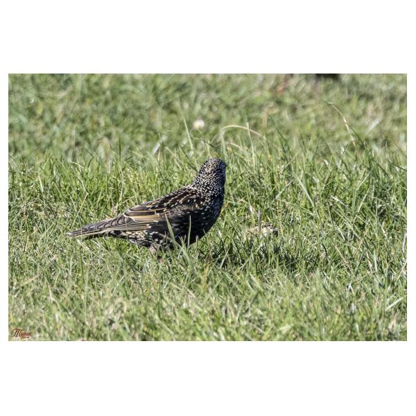 PHOTO84, CLUB, 84 , LUBERON